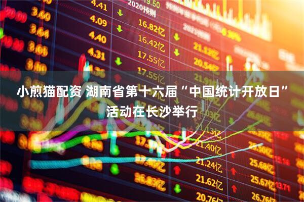 小煎猫配资 湖南省第十六届“中国统计开放日”活动在长沙举行