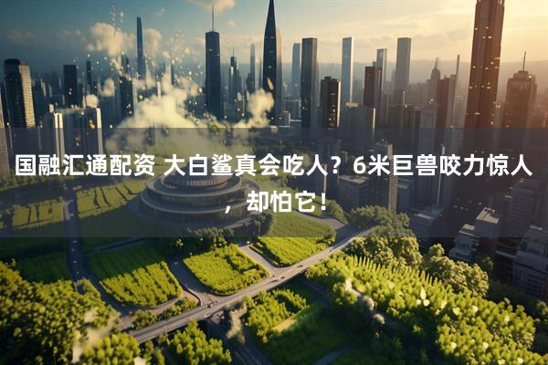 国融汇通配资 大白鲨真会吃人？6米巨兽咬力惊人，却怕它！