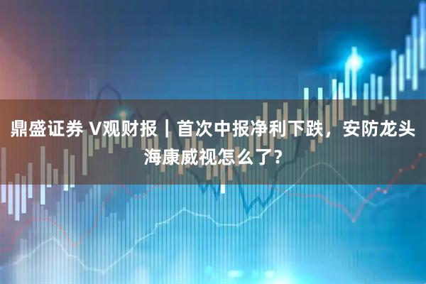 鼎盛证券 V观财报｜首次中报净利下跌，安防龙头海康威视怎么了？