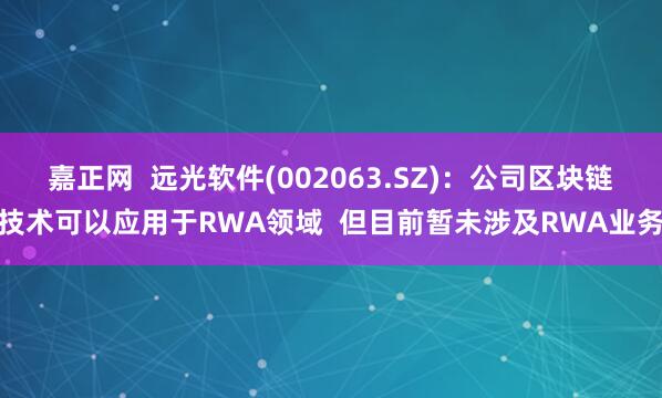嘉正网  远光软件(002063.SZ)：公司区块链技术可以应用于RWA领域  但目前暂未涉及RWA业务