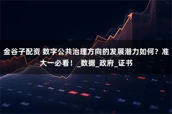 金谷子配资 数字公共治理方向的发展潜力如何？准大一必看！_数据_政府_证书